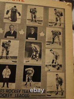 1931 1932 Toronto Maple Leafs Stanley Cup Winners Vi -Tone Ad 12x4 Team Photo