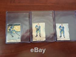 1951-52 Parkhurst 57 Cards Toronto Maple Leafs Lot